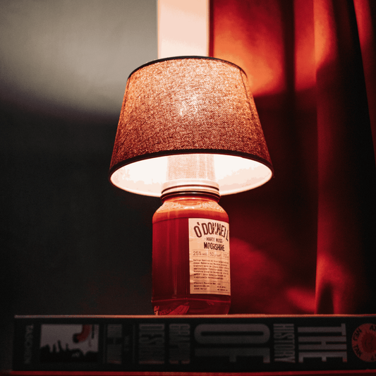 Das neueste Upcycling-Projekt: die O'Donnell Lampe