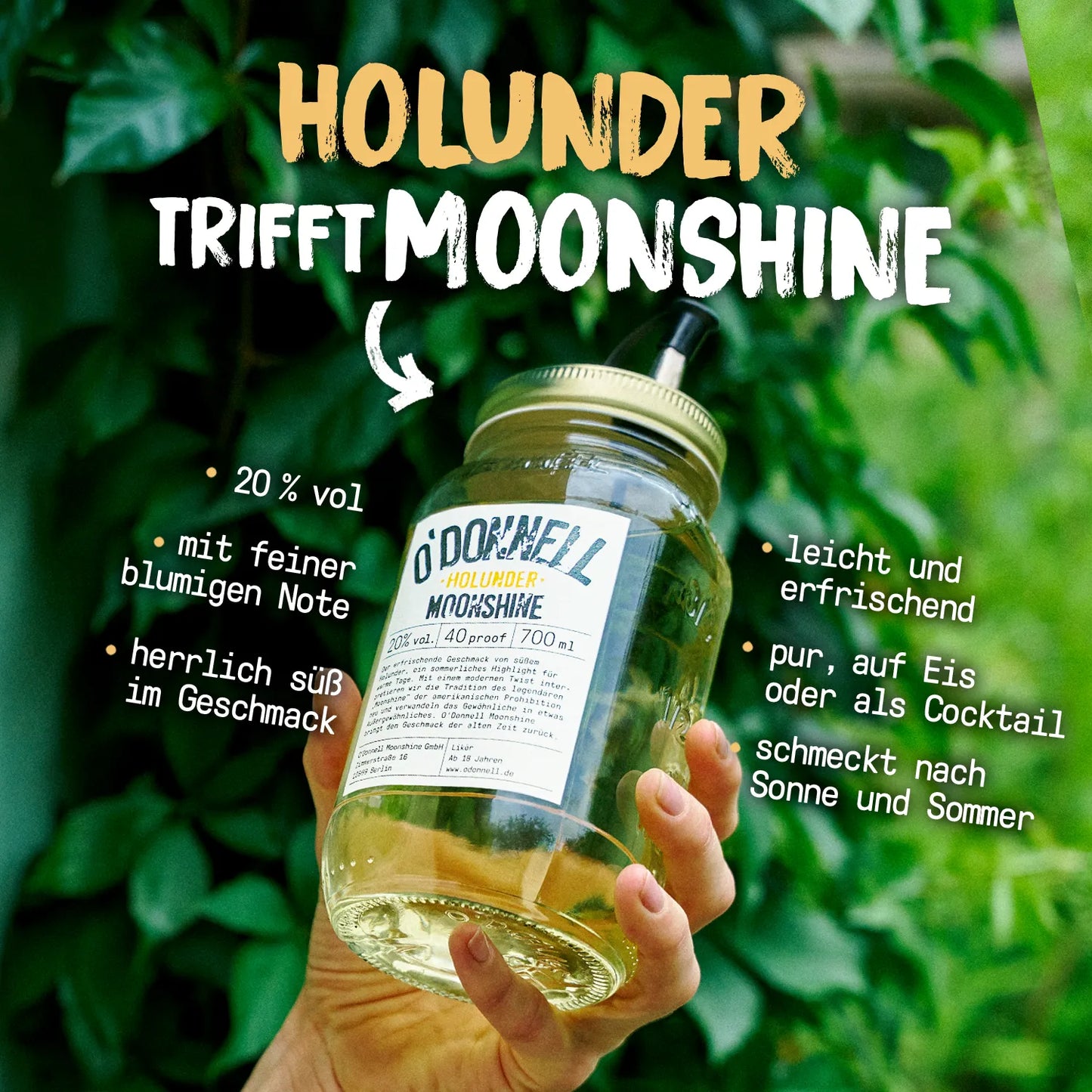 O'Donnell Moonshine Banner für Holunder-Likör mit einer Flasche vor grünem Blätterhintergrund und Produktvorteilen.